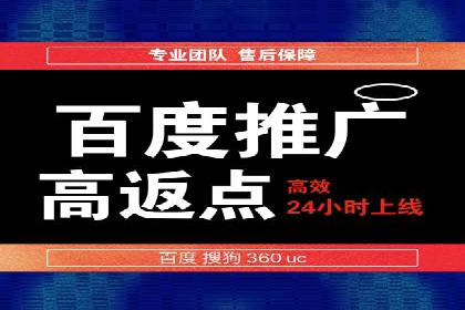 某企业通过SEO和SEM双管齐下实现业绩飞跃的案例